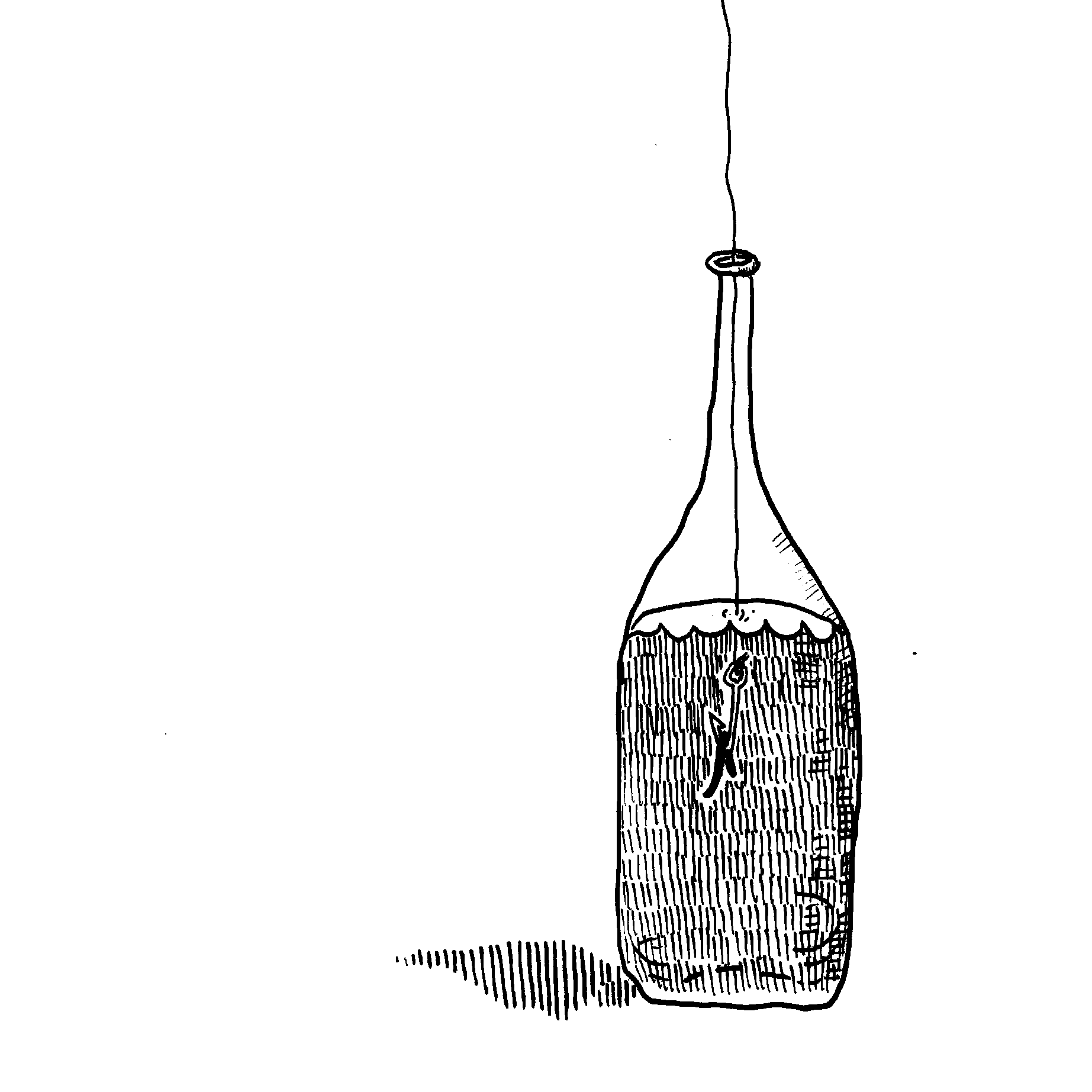 Fishing illustration by Geoff Gouveia