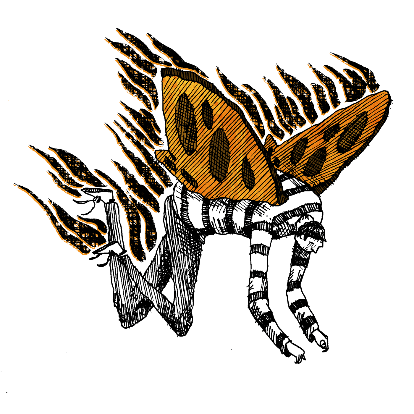 illustration by Geoff Gouveia